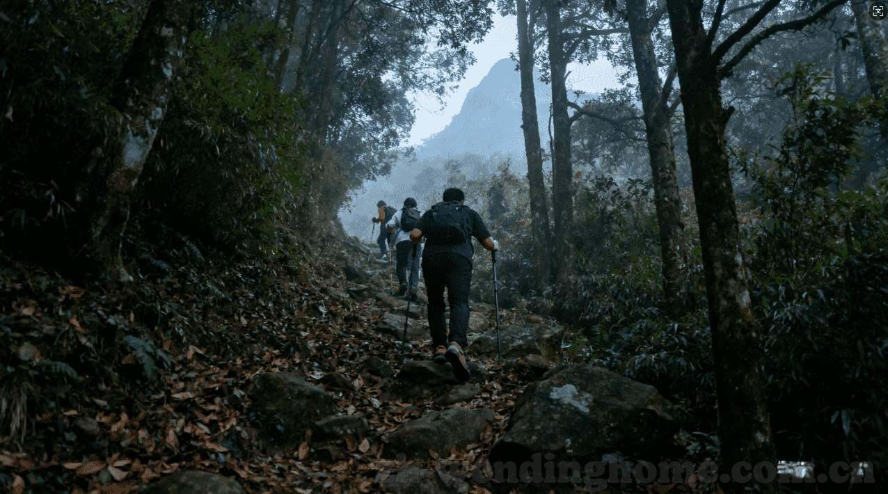 问鼎娱乐下载-问鼎娱乐下载，解锁丰富的娱乐体验
